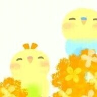 今日もありがとうございました！