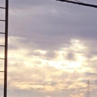 ふと目に付いた📸