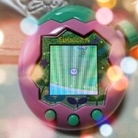 わたしのパラダイス🎶