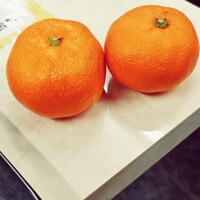 今日の合言葉♡