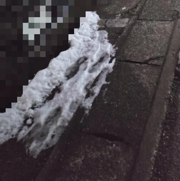 💌ご予定前に✨