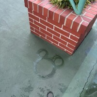 ありがとうございます☺️