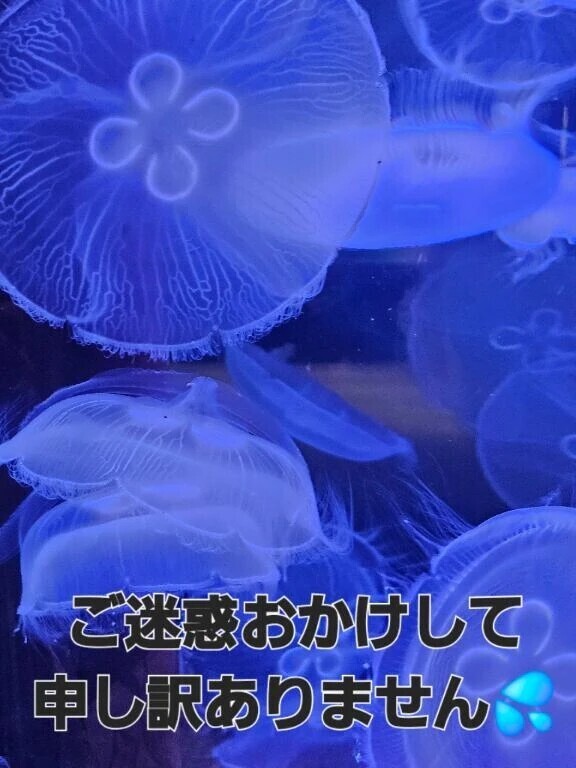 ごめんなさい🙏💦