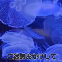 ごめんなさい🙏💦