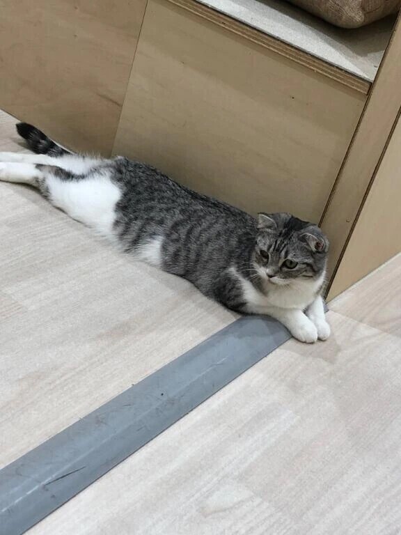 聞いてる人は覚えてる説