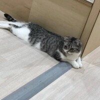 聞いてる人は覚えてる説