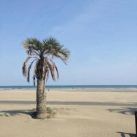 スッキリしない天気