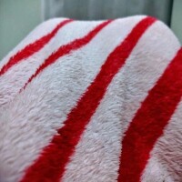 心地よい待機所♡