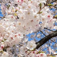 おはようございます♡