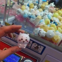 ありす（ありさ）