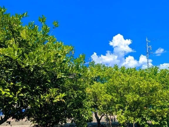 The夏休みって感じの空！
