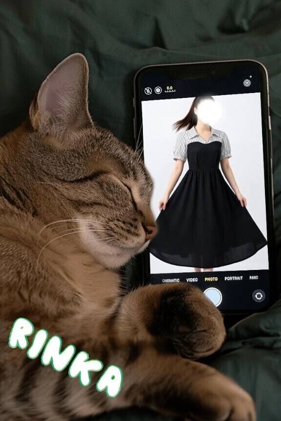 当てはまる？