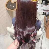 いずみ