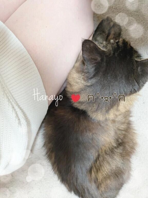 誘惑‥