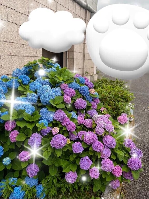 明日しゅっきん♥️✨🌙