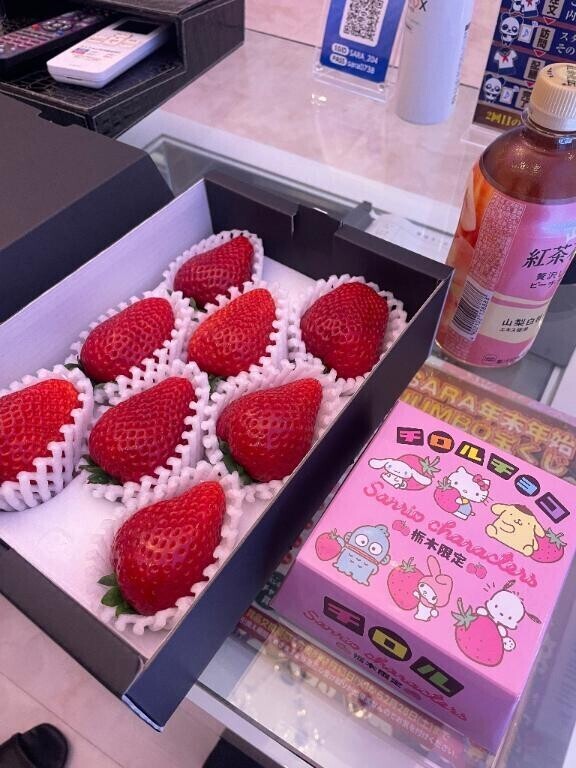 ホテルSARAのお兄様