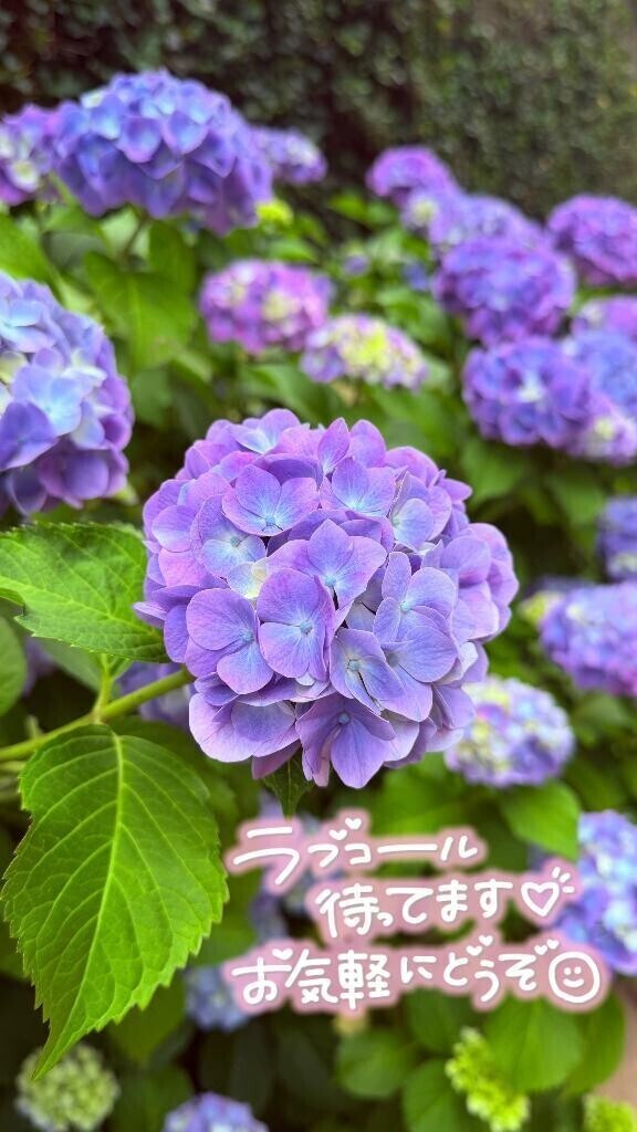 雨だね～？？？
