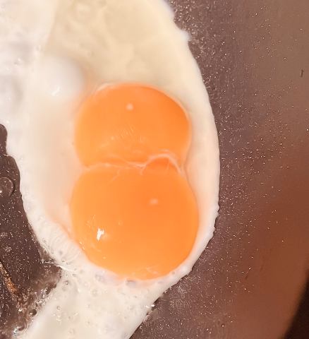 朝は目玉焼き＊°。