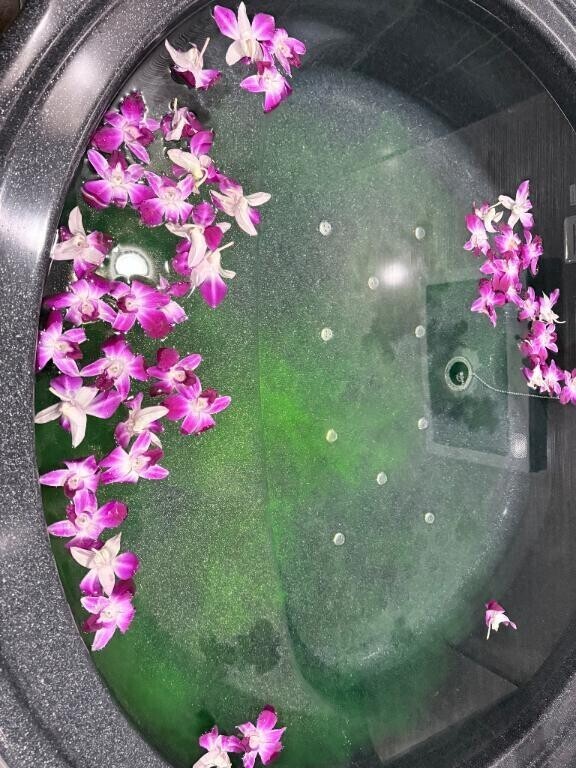 ありがとう？？