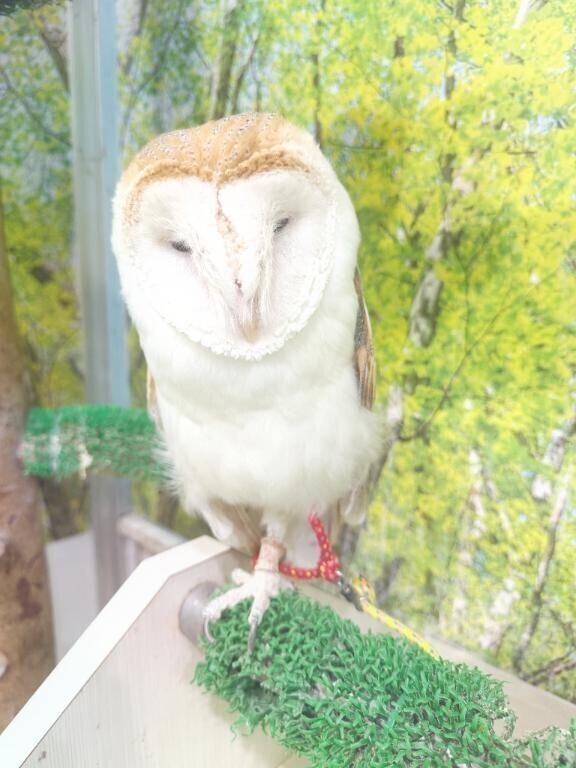 出勤のお知らせ！！！