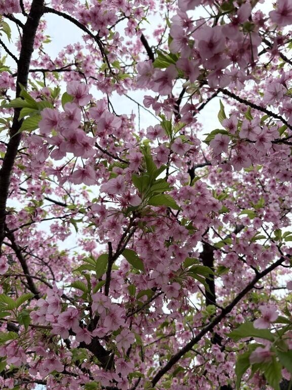 到着しました！