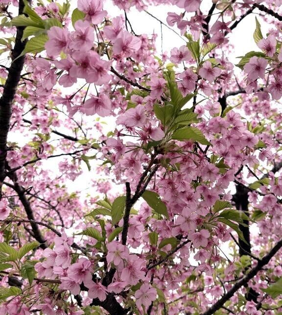 向かってます？