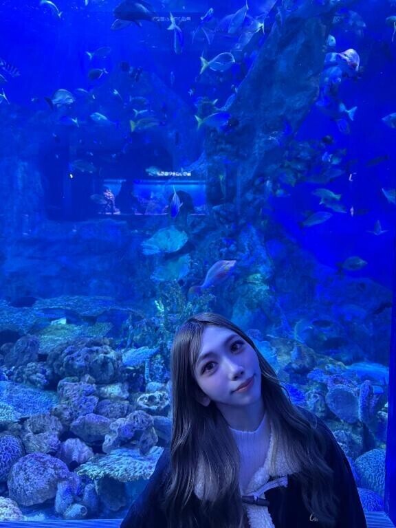 さいきんのおもひで