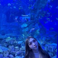 さいきんのおもひで