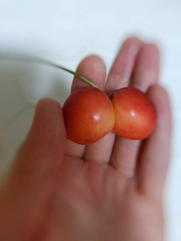 6月22日☔ありがとうございました！