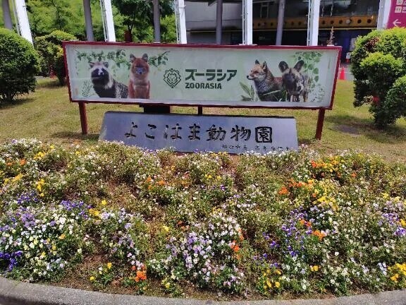 ✨あしたはラストひと枠です✨