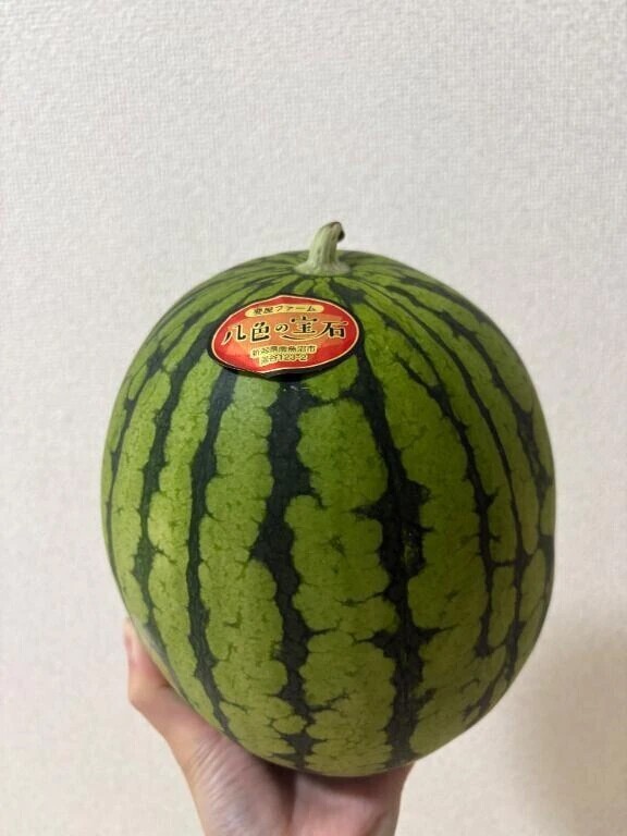 Suica🐧