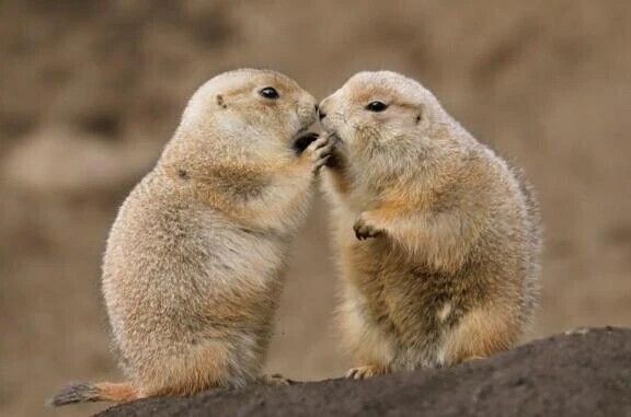 ▶10時30分〜ご案内できます❤