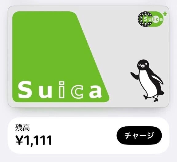 相性がいいらしいよっ💝