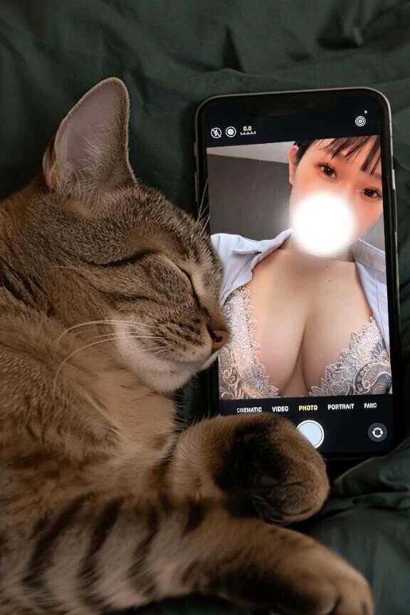 しゅっきーん！