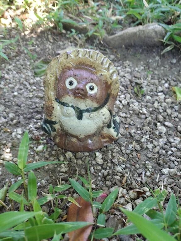 たぬたぬ🦝