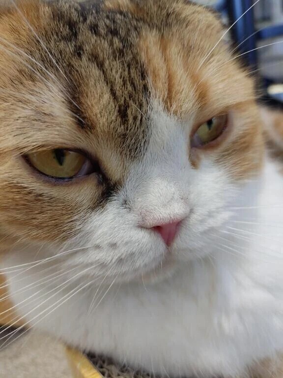 5月12日🎏ありがとうございました😊
