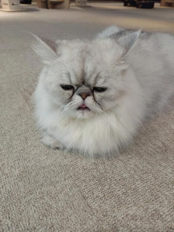 おはようございます😊