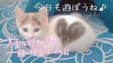 待ってます