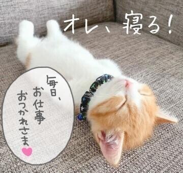 10時から