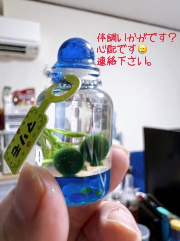 やっぱり松戸といえば桃色奥様ですね
