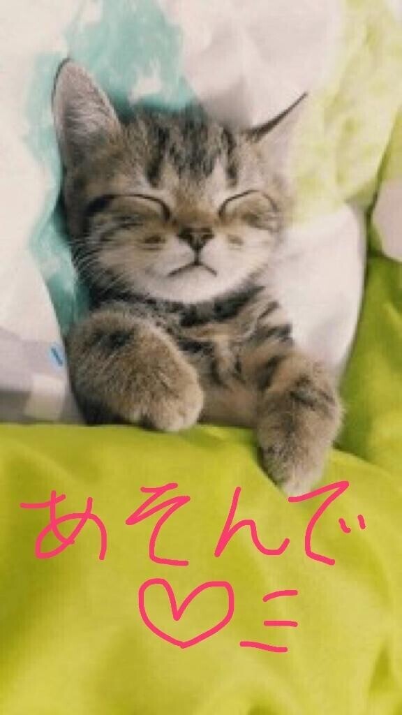 えっほえっほえっほ　伝えなきゃ