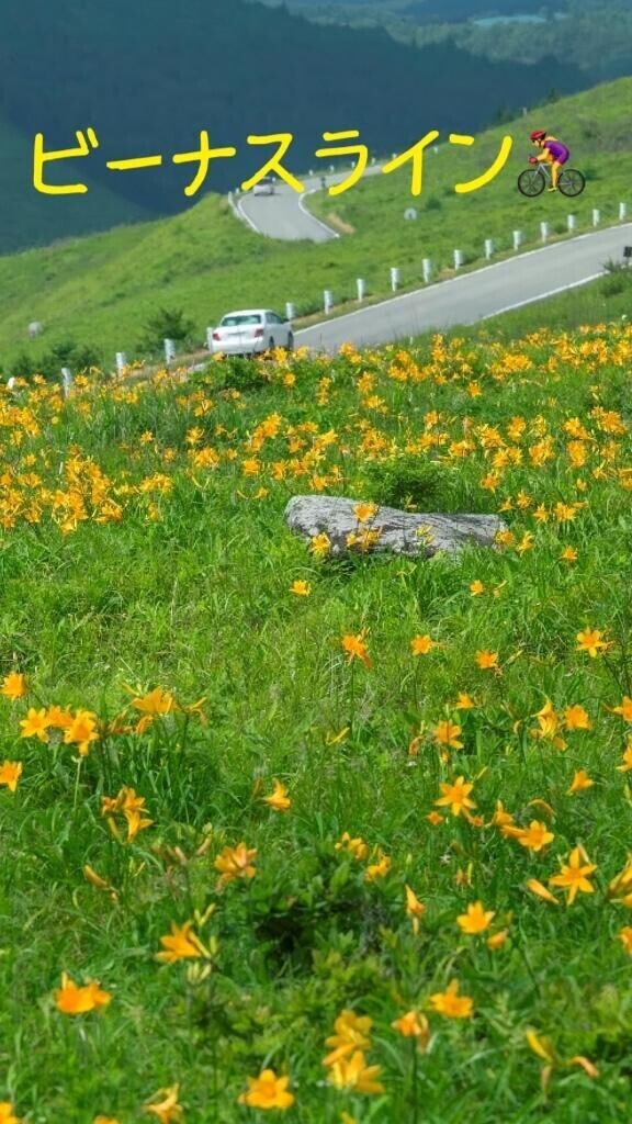 ビーナスライン(＾ｰ^)