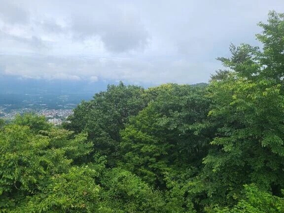 二度寝ほど気持ち良い事はない