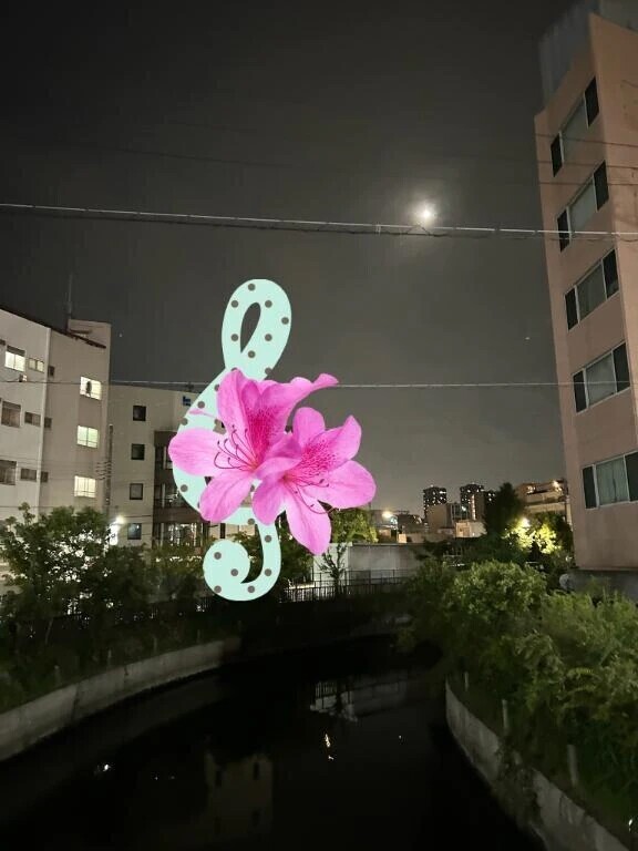 月が美しい