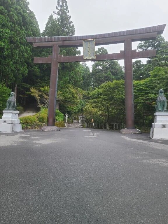 でーっかい鳥居✨✨