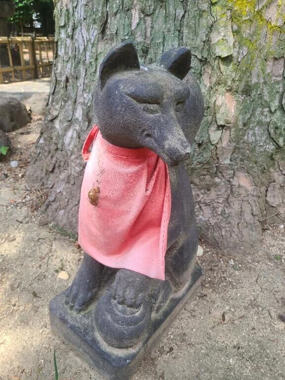 地味に集めてる抜け殻コレクション