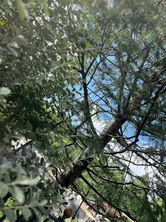 【次回の出勤🌼】