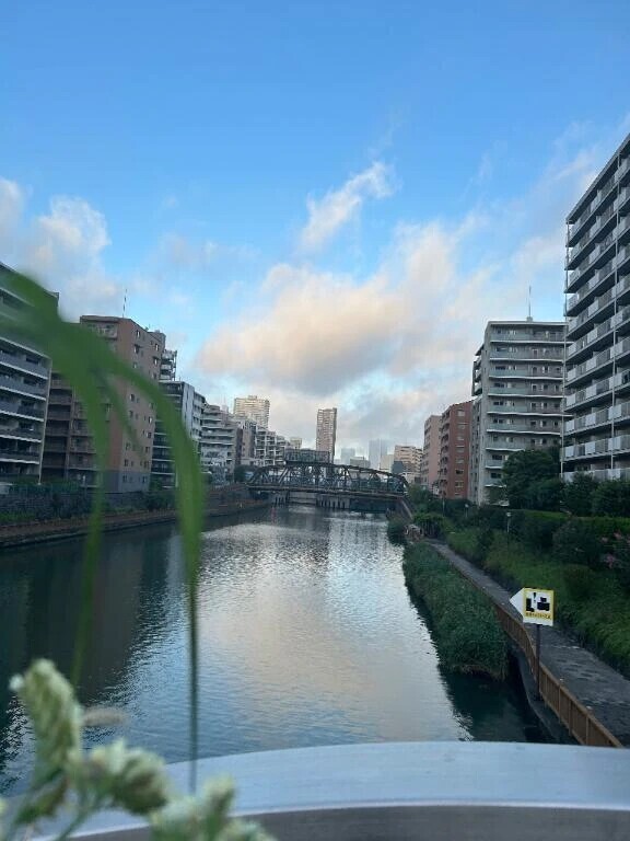 空の色に似ている⑦おはようございます