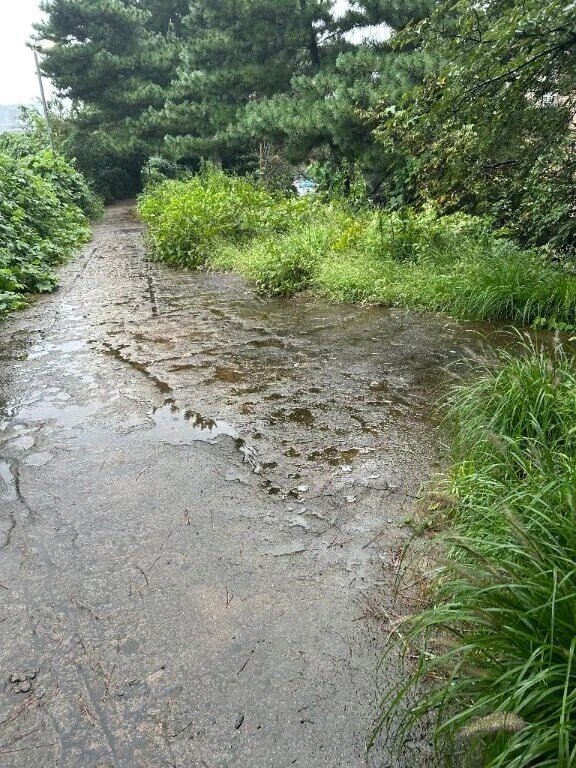 雨の朝