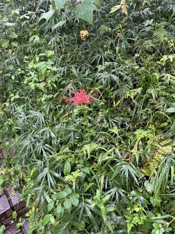 空の色ににている⑧